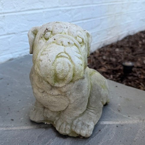 Concrete Bulldog Statue