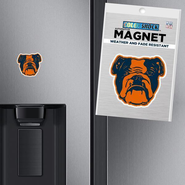 Car Magnets - 2 Options