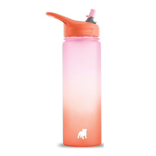 Wave Waterbottle with Flip Straw by Ecovessel (2 colors)