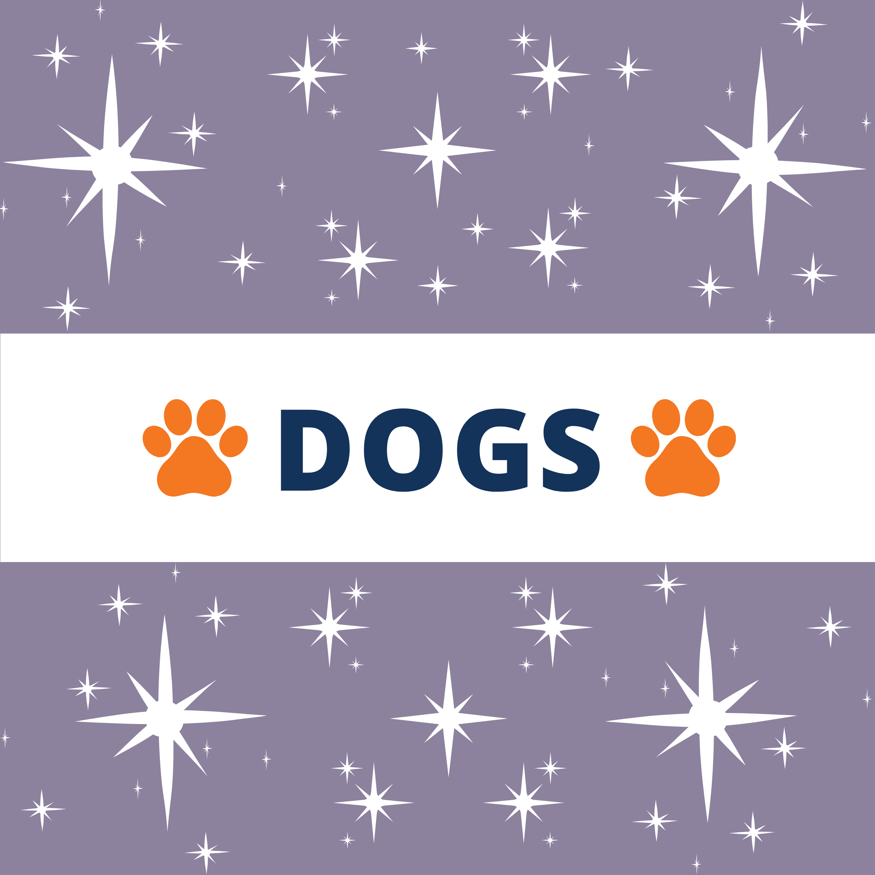 Gifts for Dogs Norfolk Academy Bulldog Bookstore