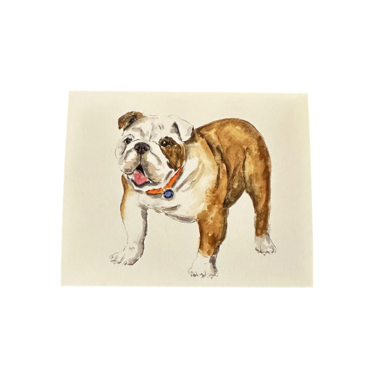 Bulldog Notecards by Sarah Lytle '89