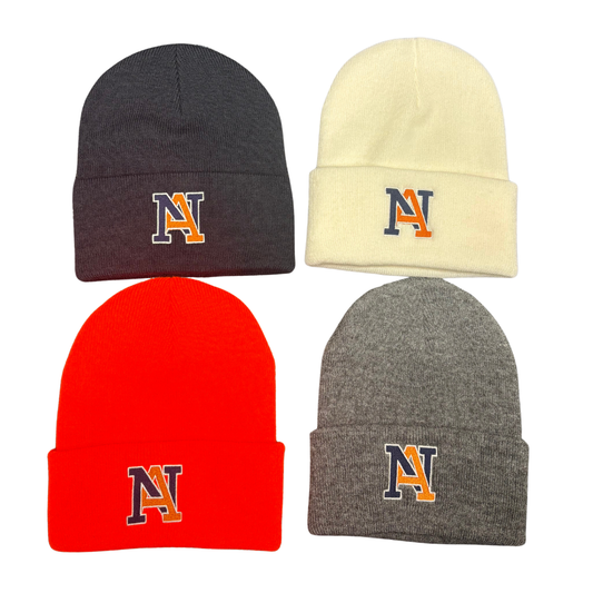Basic Beanie Hat - assorted colors