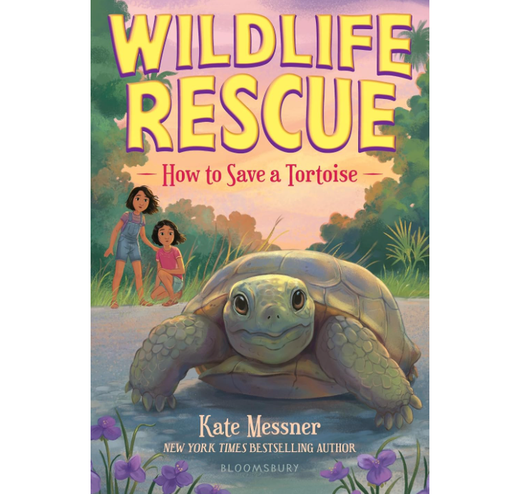 How to Save a Tortoise (Wildlife Rescue)