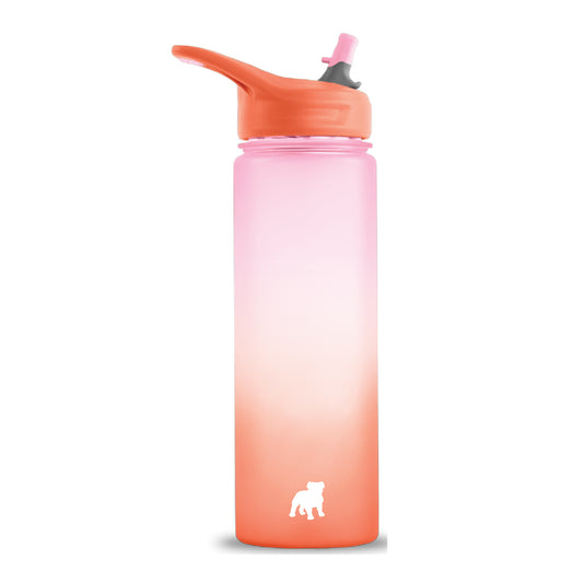 Wave Waterbottle with Flip Straw by Ecovessel (2 colors) - SALE