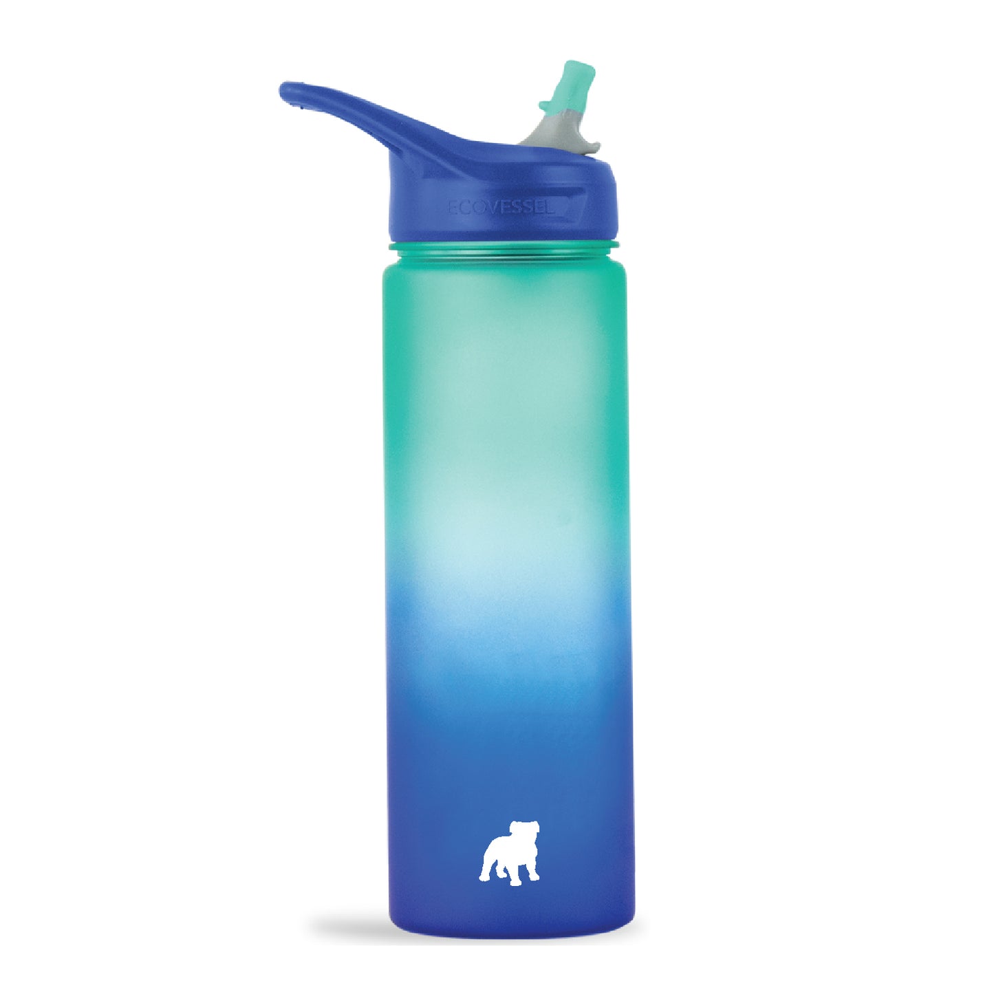 Wave Waterbottle with Flip Straw by Ecovessel (2 colors)