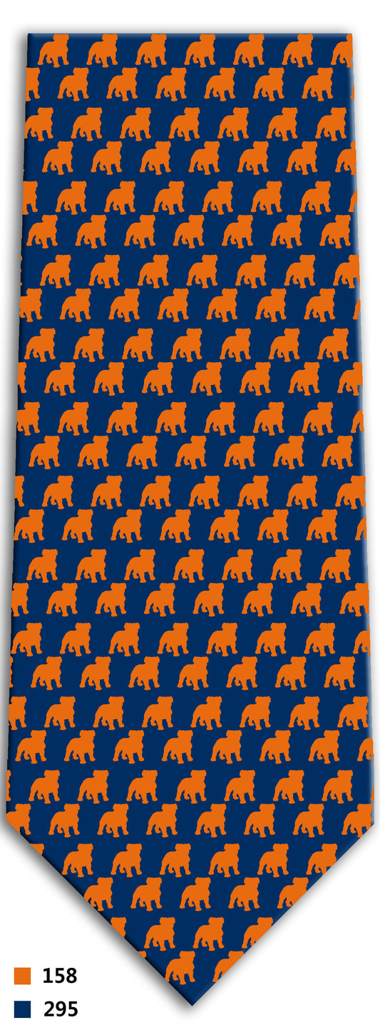 Norfolk Academy Tie - 6 Different Styles