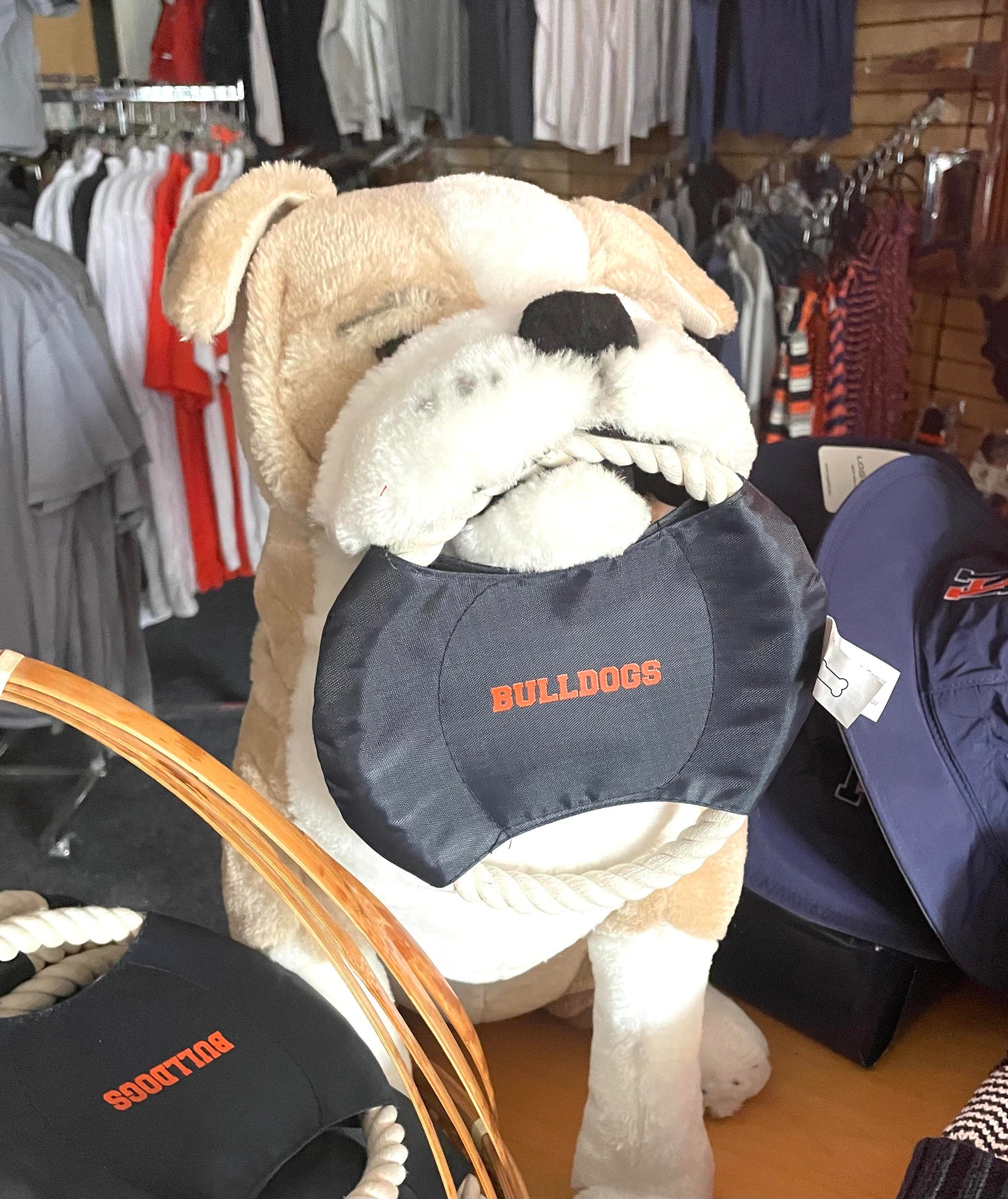 Flying Disc Dog Toy